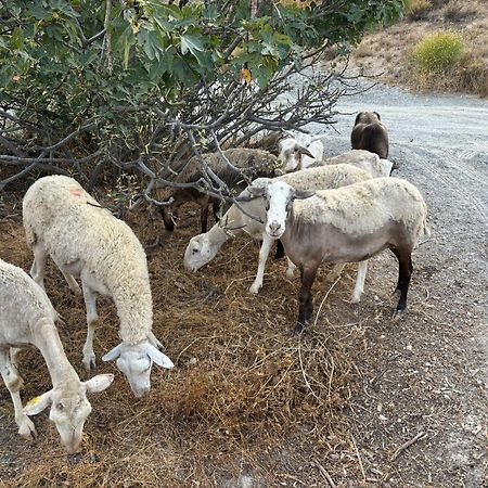 Afgelegen vakantiehuis in het hart van de Alpujarra Orgiva Buitenkant foto