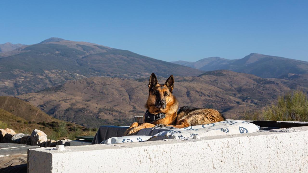 Afgelegen vakantiehuis in het hart van de Alpujarra Villa Orgiva Buitenkant foto