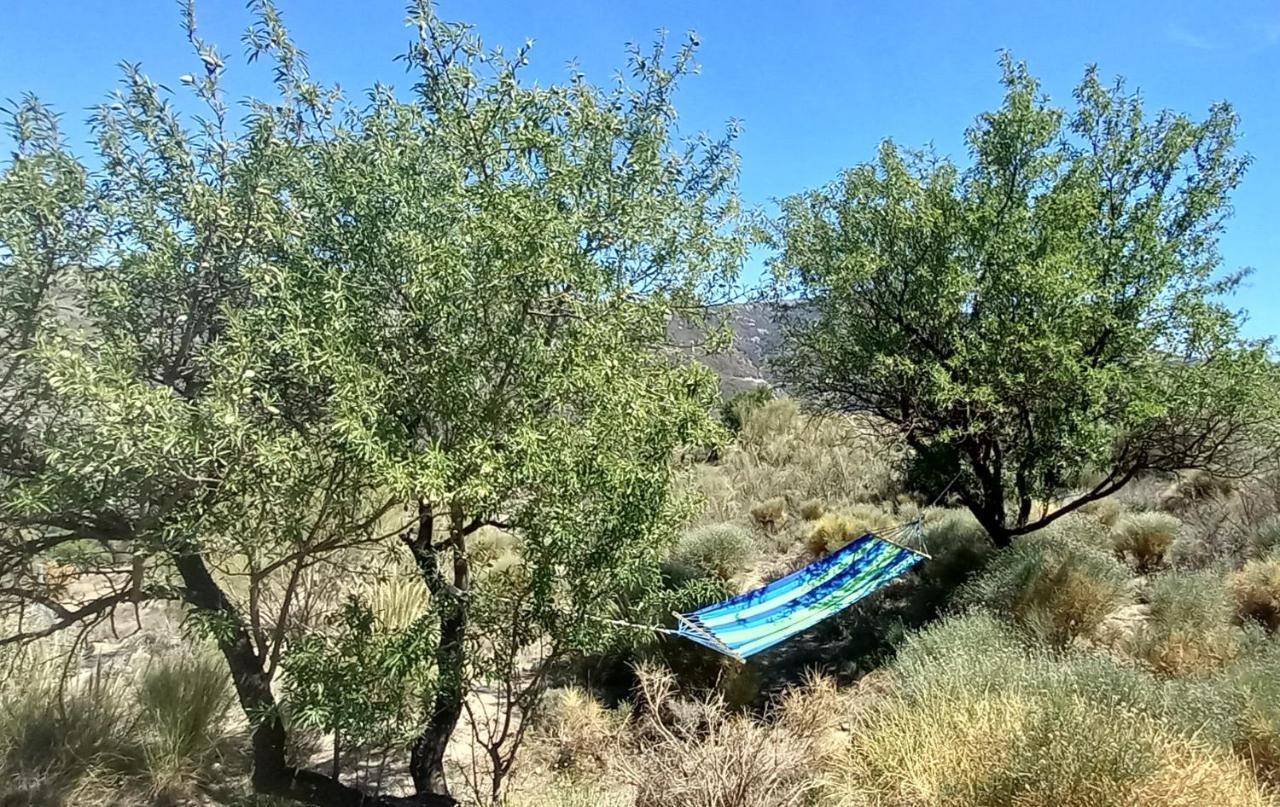 Afgelegen vakantiehuis in het hart van de Alpujarra Villa Orgiva Buitenkant foto