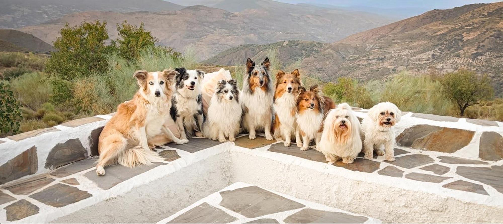 Afgelegen vakantiehuis in het hart van de Alpujarra Villa Orgiva Buitenkant foto