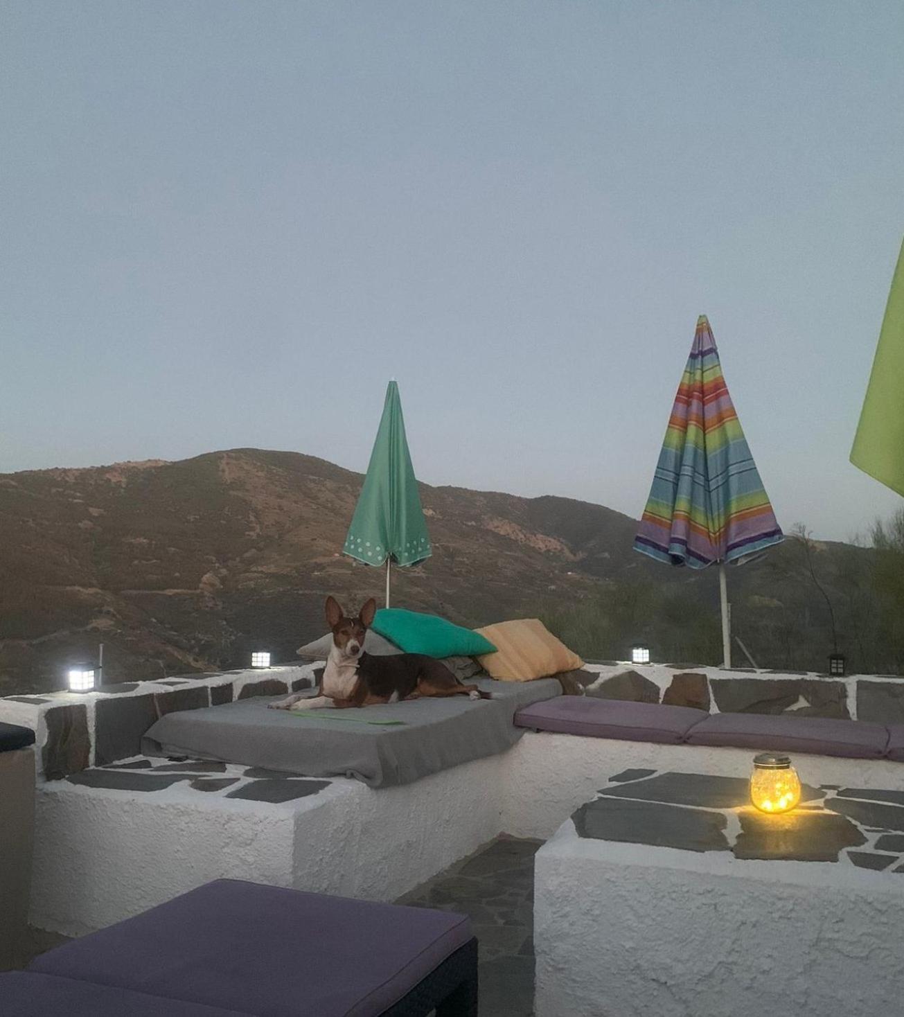 Afgelegen vakantiehuis in het hart van de Alpujarra Villa Orgiva Buitenkant foto