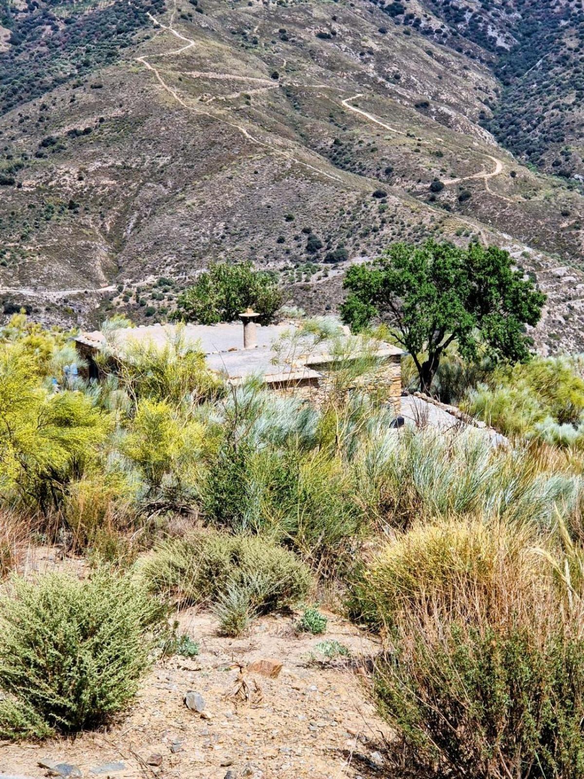 Afgelegen vakantiehuis in het hart van de Alpujarra Villa Orgiva Buitenkant foto