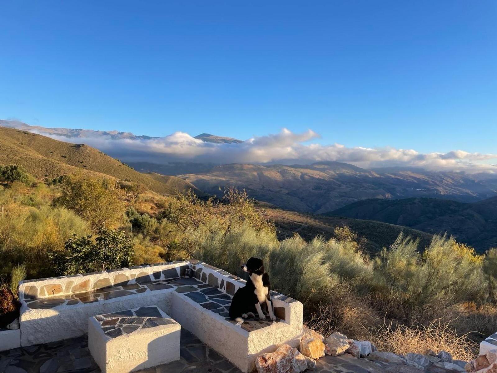 Afgelegen vakantiehuis in het hart van de Alpujarra Orgiva Buitenkant foto